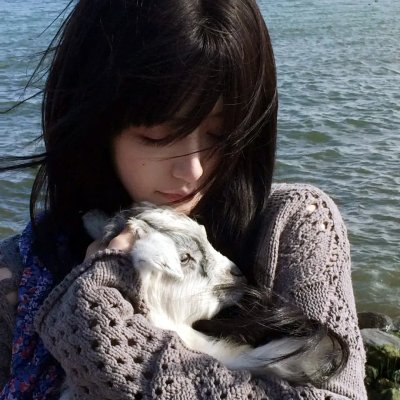 那群破坏者