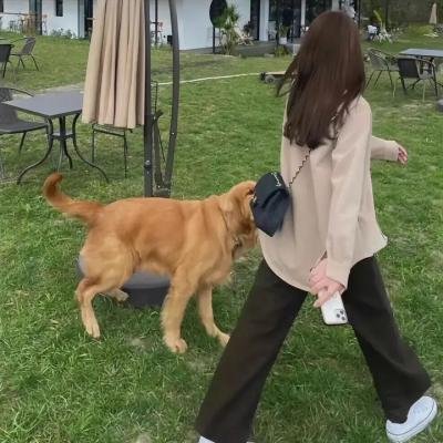 冲锋飞车队